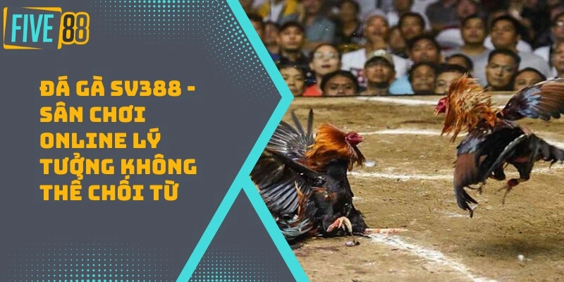 Đá Gà SV388 – Sân Chơi Online Lý Tưởng Không Thể Chối Từ