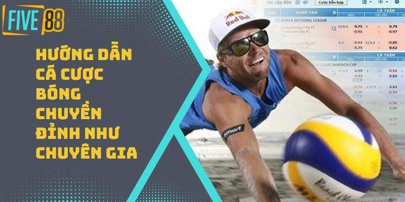 huong-dan-ca-cuoc-bong-chuyen